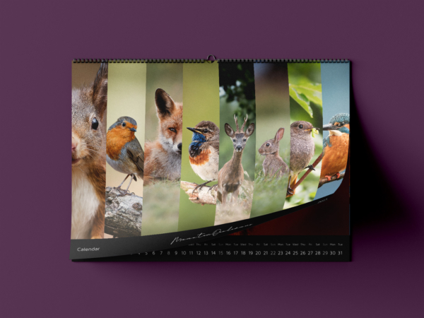 Wildlife Calendar 2023 - size A3 - On premium silk matte paper